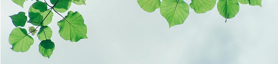 Location - Aquarian Gardens