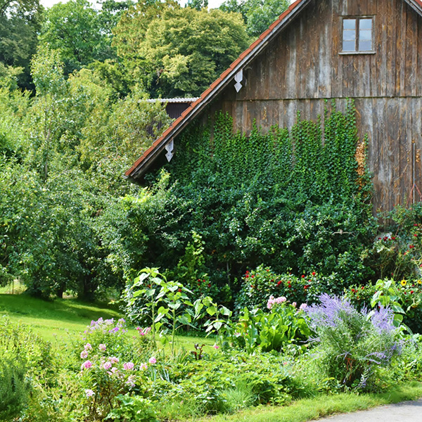 Flower Garden Design - Menomonie